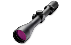 Burris Droptine Riflescope with Ballistic Plex .22 Reticle, 3-9x 40mm