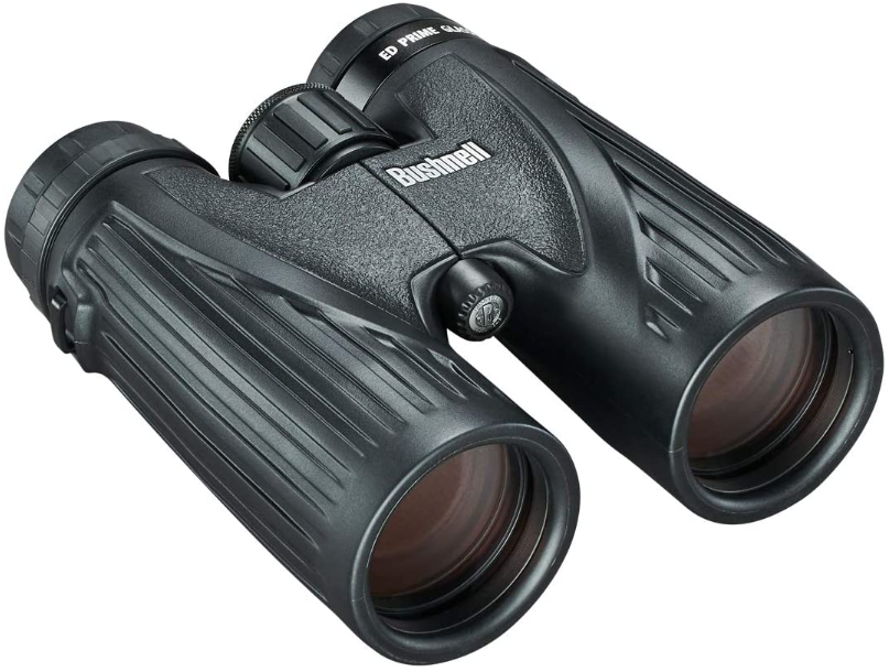 Best Binoculars for Varmint Hunting MarksmanOptics