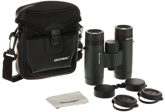 Best 10×32 Binoculars for 2023