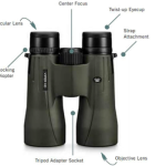 7 Best Vortex Binoculars For Deer Hunting