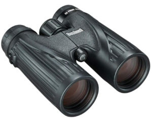 Bushnell Legend Ultra HD 10x42