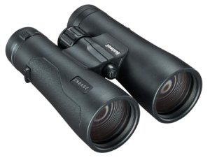 Bushnell Engage DX 10x42