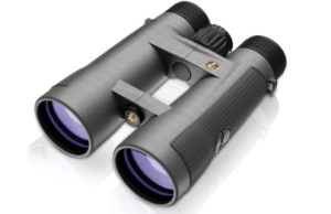 Leupold BX-4 Pro Guide 10x50 Binoculars