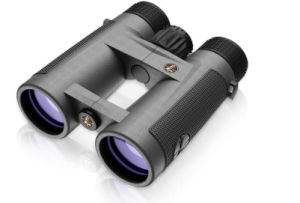 Leupold BX-4 Pro Guide HD 10x42 Binoculars