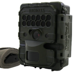 6 Best Trail Cameras For Security