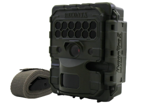 6 Best Trail Cameras For Security