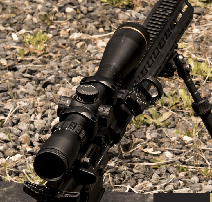 7 Best Leupold Scopes for 30-06